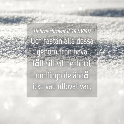 Picture 04 - Hebreerbrevet 11:39 SV1917 - Och fastän alla dessa genom tron hava fått sitt - Bible Verse Picture