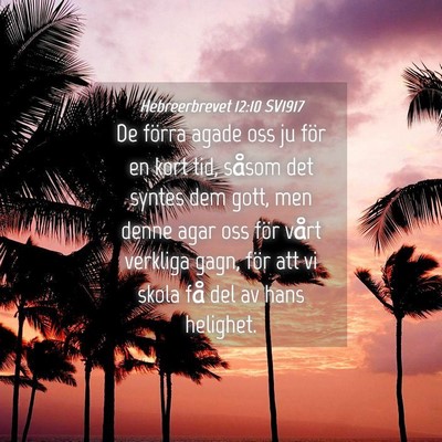 Picture 04 - Hebreerbrevet 12:10 SV1917 - De förra agade oss ju för en kort tid, såsom - Bible Verse Picture