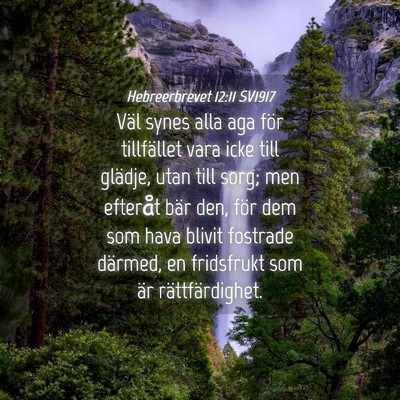 Picture 04 - Hebreerbrevet 12:11 SV1917 - Väl synes alla aga för tillfället vara icke - Bible Verse Picture