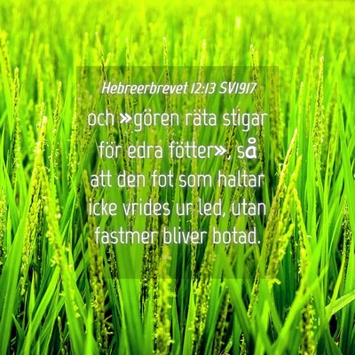 Picture 04 - Hebreerbrevet 12:13 SV1917 - och »gören räta stigar för edra fötter», - Bible Verse Picture