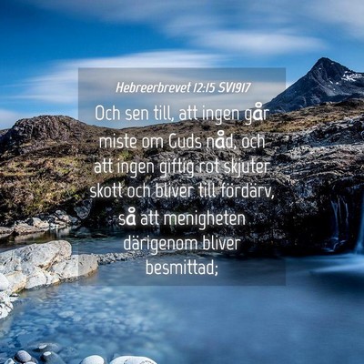 Picture 04 - Hebreerbrevet 12:15 SV1917 - Och sen till, att ingen går miste om Guds nåd, - Bible Verse Picture