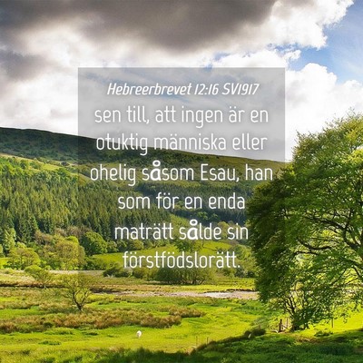 Picture 04 - Hebreerbrevet 12:16 SV1917 - sen till, att ingen är en otuktig människa - Bible Verse Picture
