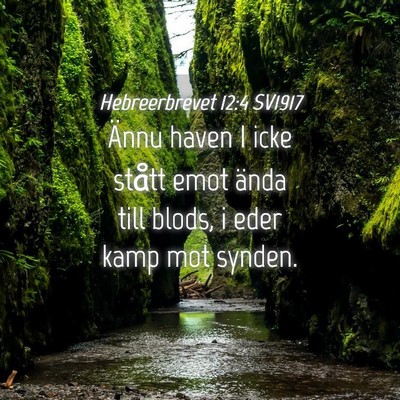 Picture 04 - Hebreerbrevet 12:4 SV1917 - Ännu haven I icke stått emot ända till blods, - Bible Verse Picture