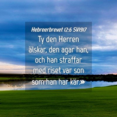 Picture 04 - Hebreerbrevet 12:6 SV1917 - Ty den Herren älskar, den agar han, och han - Bible Verse Picture