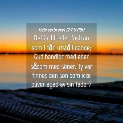 Picture 04 - Hebreerbrevet 12:7 SV1917 - Det är till eder fostran som I fån utstå - Bible Verse Picture
