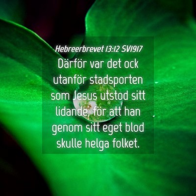Picture 04 - Hebreerbrevet 13:12 SV1917 - Därför var det ock utanför stadsporten som - Bible Verse Picture