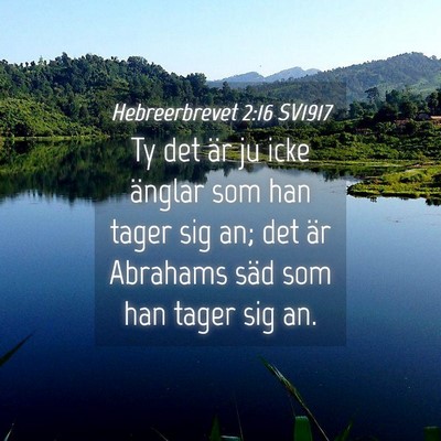 Picture 04 - Hebreerbrevet 2:16 SV1917 - Ty det är ju icke änglar som han tager sig an; - Bible Verse Picture