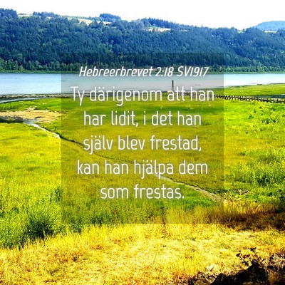 Picture 04 - Hebreerbrevet 2:18 SV1917 - Ty därigenom att han har lidit, i det han själv - Bible Verse Picture