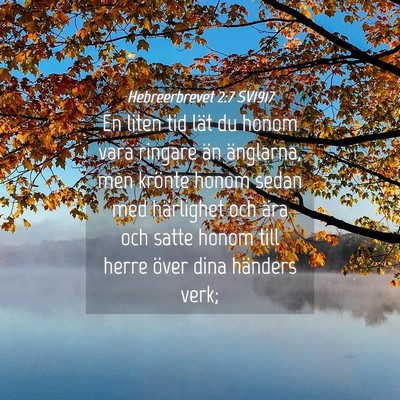Picture 04 - Hebreerbrevet 2:7 SV1917 - En liten tid lät du honom vara ringare än - Bible Verse Picture