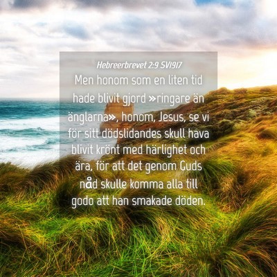 Picture 04 - Hebreerbrevet 2:9 SV1917 - Men honom som en liten tid hade blivit gjord - Bible Verse Picture