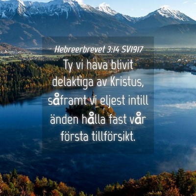Picture 04 - Hebreerbrevet 3:14 SV1917 - Ty vi hava blivit delaktiga av Kristus, såframt - Bible Verse Picture