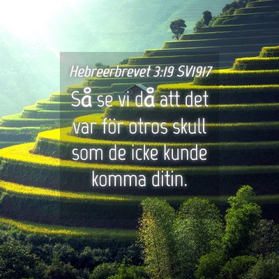 Picture 04 - Hebreerbrevet 3:19 SV1917 - Så se vi då att det var för otros skull som de - Bible Verse Picture