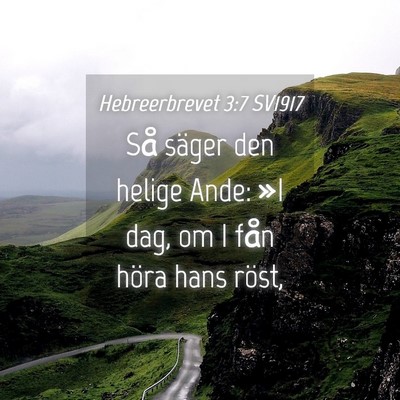 Picture 04 - Hebreerbrevet 3:7 SV1917 - Så säger den helige Ande: »I dag, om I fån - Bible Verse Picture