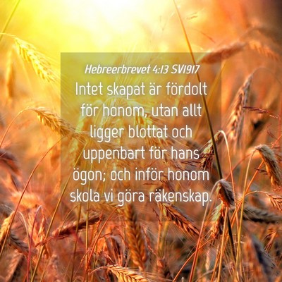 Picture 04 - Hebreerbrevet 4:13 SV1917 - Intet skapat är fördolt för honom, utan allt - Bible Verse Picture