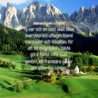 Picture 04 - Hebreerbrevet 5:1 SV1917 - Ty var och en som skall bliva överstepräst - Bible Verse Picture