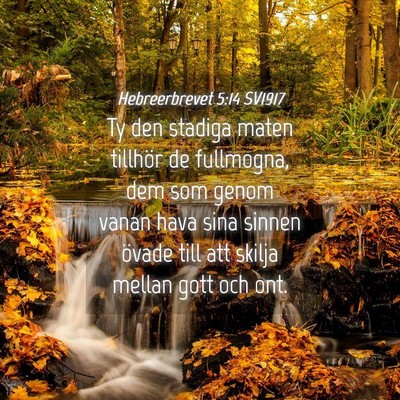 Picture 04 - Hebreerbrevet 5:14 SV1917 - Ty den stadiga maten tillhör de fullmogna, dem - Bible Verse Picture