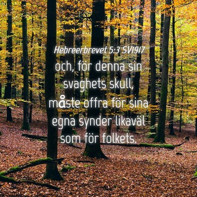Picture 04 - Hebreerbrevet 5:3 SV1917 - och, för denna sin svaghets skull, måste offra - Bible Verse Picture