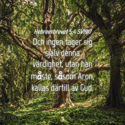 Picture 04 - Hebreerbrevet 5:4 SV1917 - Och ingen tager sig själv denna värdighet, utan - Bible Verse Picture
