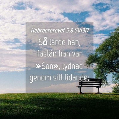Picture 04 - Hebreerbrevet 5:8 SV1917 - Så lärde han, fastän han var »Son», lydnad - Bible Verse Picture