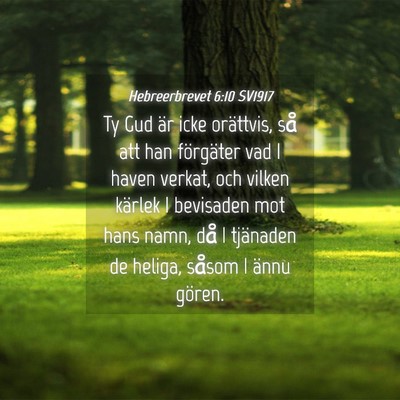 Picture 04 - Hebreerbrevet 6:10 SV1917 - Ty Gud är icke orättvis, så att han förgäter - Bible Verse Picture