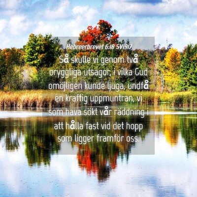 Picture 04 - Hebreerbrevet 6:18 SV1917 - Så skulle vi genom två oryggliga utsagor, i - Bible Verse Picture