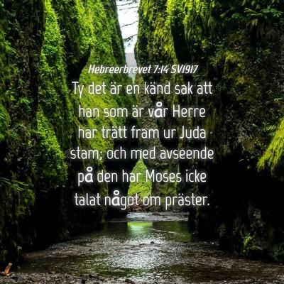 Picture 04 - Hebreerbrevet 7:14 SV1917 - Ty det är en känd sak att han som är vår - Bible Verse Picture