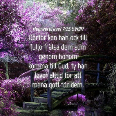 Picture 04 - Hebreerbrevet 7:25 SV1917 - Därför kan han ock till fullo frälsa dem som - Bible Verse Picture