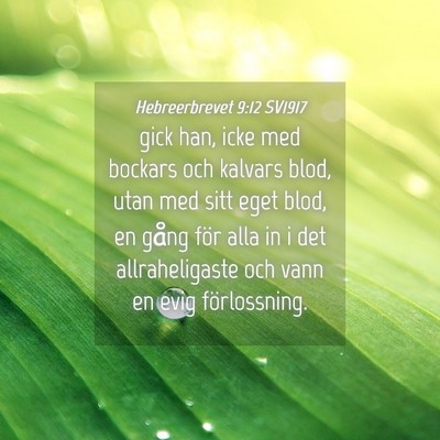Picture 04 - Hebreerbrevet 9:12 SV1917 - gick han, icke med bockars och kalvars blod, utan - Bible Verse Picture