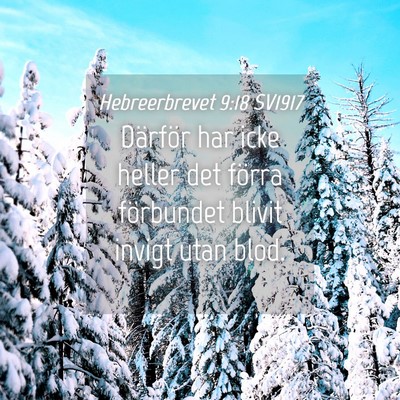 Picture 04 - Hebreerbrevet 9:18 SV1917 - Därför har icke heller det förra förbundet - Bible Verse Picture
