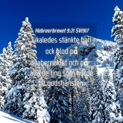 Picture 04 - Hebreerbrevet 9:21 SV1917 - Likaledes stänkte han ock blod på tabernaklet - Bible Verse Picture