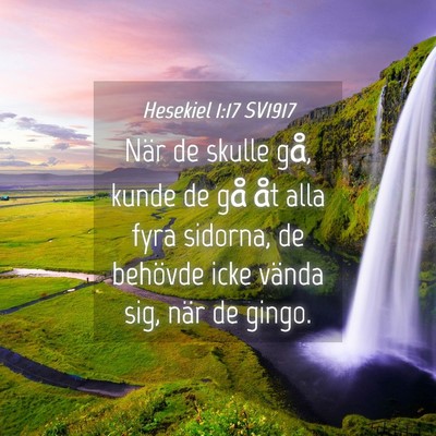 Picture 04 - Hesekiel 1:17 SV1917 - När de skulle gå, kunde de gå åt alla fyra - Bible Verse Picture