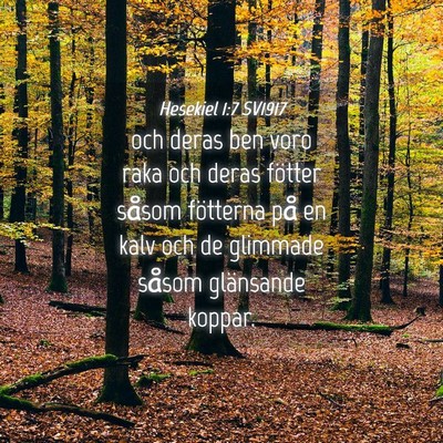Picture 04 - Hesekiel 1:7 SV1917 - och deras ben voro raka och deras fötter såsom - Bible Verse Picture