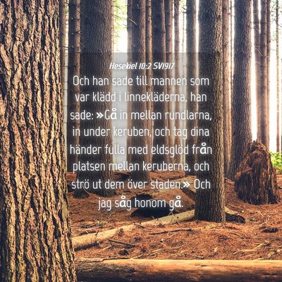 Picture 04 - Hesekiel 10:2 SV1917 - Och han sade till mannen som var klädd i - Bible Verse Picture