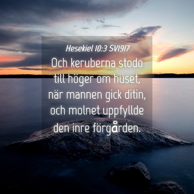Picture 04 - Hesekiel 10:3 SV1917 - Och keruberna stodo till höger om huset, när - Bible Verse Picture