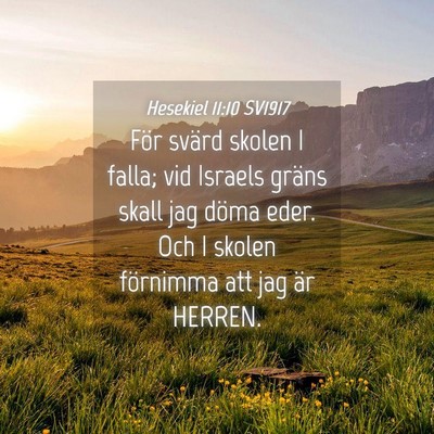 Picture 04 - Hesekiel 11:10 SV1917 - För svärd skolen I falla; vid Israels gräns - Bible Verse Picture