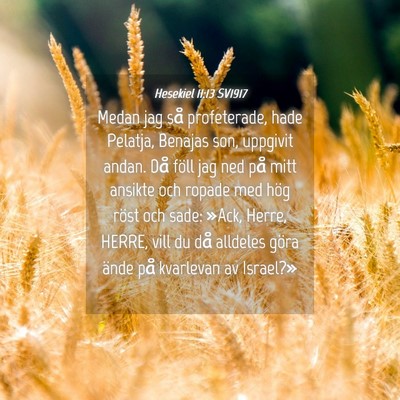 Picture 04 - Hesekiel 11:13 SV1917 - Medan jag så profeterade, hade Pelatja, Benajas - Bible Verse Picture