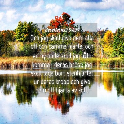 Picture 04 - Hesekiel 11:19 SV1917 - Och jag skall giva dem alla ett och samma - Bible Verse Picture