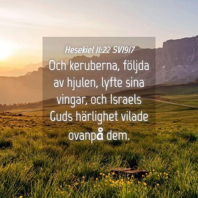 Picture 04 - Hesekiel 11:22 SV1917 - Och keruberna, följda av hjulen, lyfte sina - Bible Verse Picture