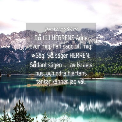 Picture 04 - Hesekiel 11:5 SV1917 - Då föll HERRENS Ande över mig, han sade till - Bible Verse Picture