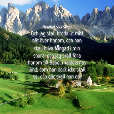 Picture 04 - Hesekiel 12:13 SV1917 - Och jag skall breda ut mitt nät över honom, och - Bible Verse Picture