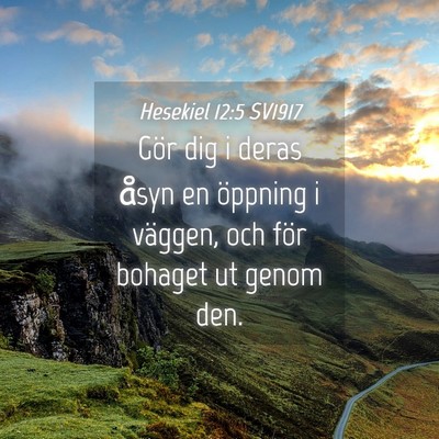 Picture 04 - Hesekiel 12:5 SV1917 - Gör dig i deras åsyn en öppning i väggen, och - Bible Verse Picture