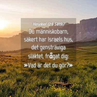 Picture 04 - Hesekiel 12:9 SV1917 - Du människobarn, säkert har Israels hus, det - Bible Verse Picture