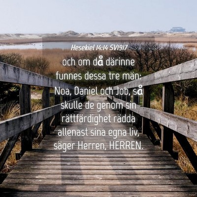 Picture 04 - Hesekiel 14:14 SV1917 - och om då därinne funnes dessa tre män: Noa, - Bible Verse Picture