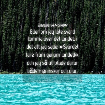 Picture 04 - Hesekiel 14:17 SV1917 - Eller om jag läte svärd komma över det landet, - Bible Verse Picture