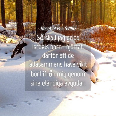 Picture 04 - Hesekiel 14:5 SV1917 - Så skall jag gripa Israels barn i hjärtat, - Bible Verse Picture