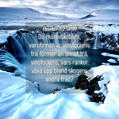 Picture 04 - Hesekiel 15:2 SV1917 - Du människobarn, varutinnan är vinstockens trä - Bible Verse Picture