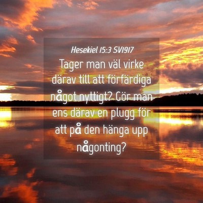 Picture 04 - Hesekiel 15:3 SV1917 - Tager man väl virke därav till att förfärdiga - Bible Verse Picture