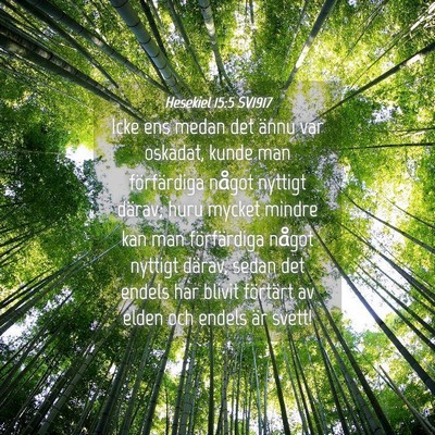 Picture 04 - Hesekiel 15:5 SV1917 - Icke ens medan det ännu var oskadat, kunde man - Bible Verse Picture