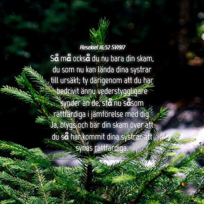 Picture 04 - Hesekiel 16:52 SV1917 - Så må också du nu bara din skam, du som nu kan - Bible Verse Picture