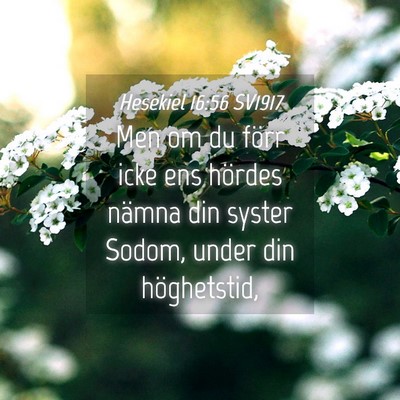 Picture 04 - Hesekiel 16:56 SV1917 - Men om du förr icke ens hördes nämna din - Bible Verse Picture